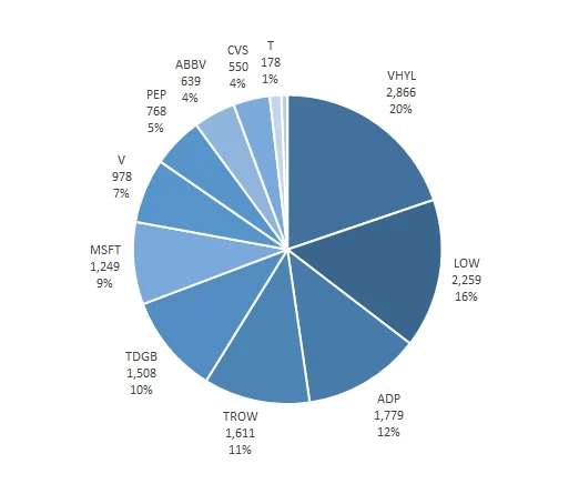 2024-Q2-Dividends-Portfolio-Allocation